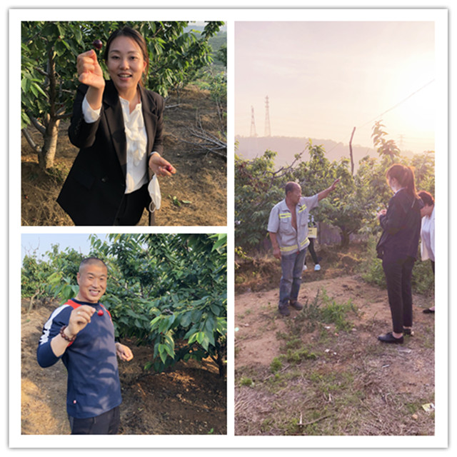 j9真人(中国集团)游戏第一品牌