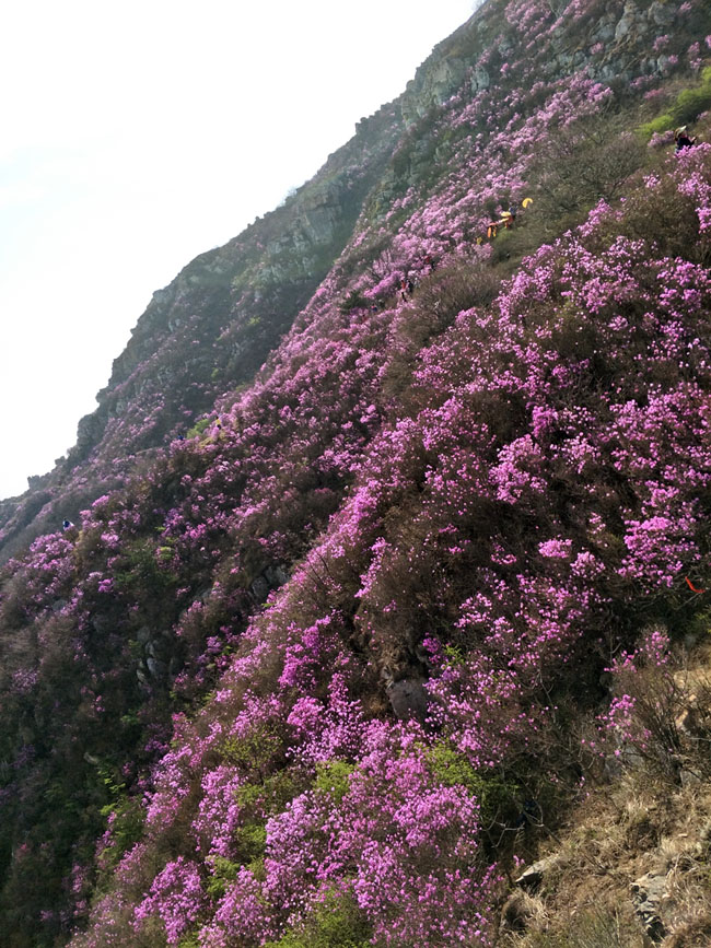 j9真人(中国集团)游戏第一品牌