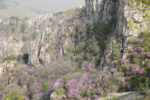 j9真人(中国集团)游戏第一品牌