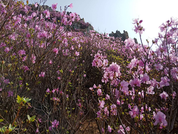 j9真人(中国集团)游戏第一品牌