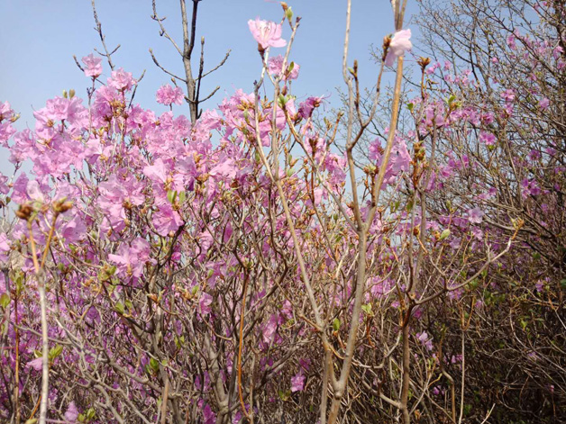 j9真人(中国集团)游戏第一品牌